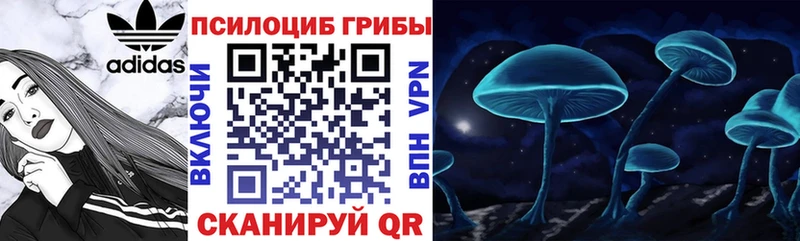 купить  цена  Гаврилов Посад  Псилоцибиновые грибы мухоморы 